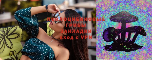 ешки Новозыбков