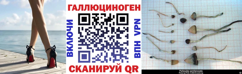 Галлюциногенные грибы GOLDEN TEACHER  Купить  Знаменск 